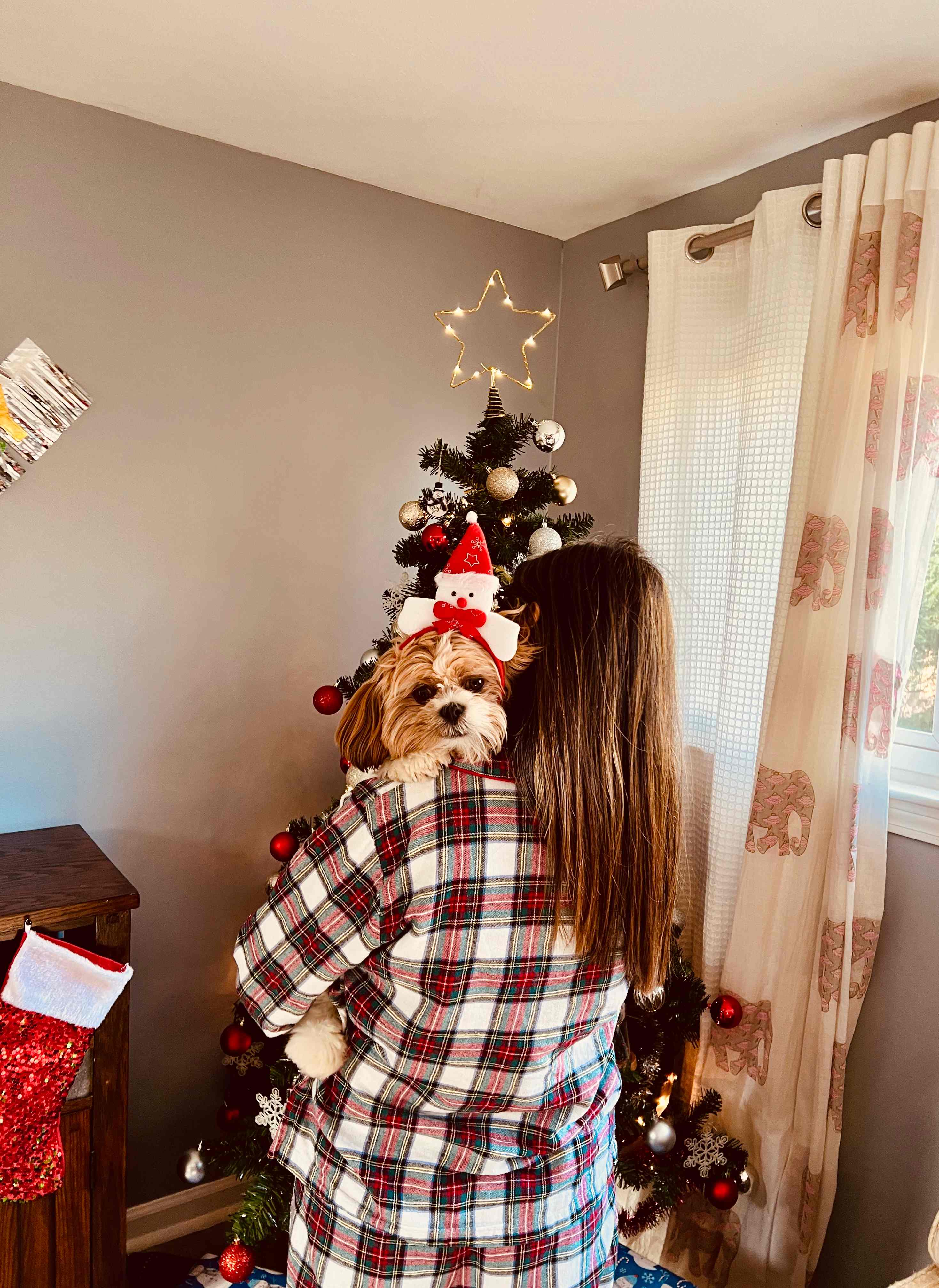 Cozy moment with pet during holidays, showing personal warmth and care
